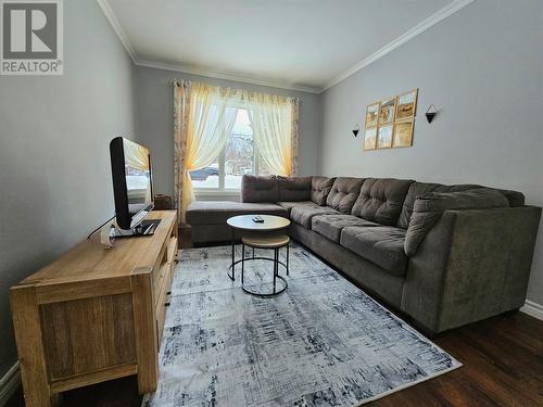 172 Nicholsville Road, Deer Lake, NL - Indoor Photo Showing Living Room