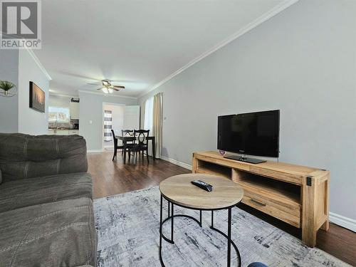 172 Nicholsville Road, Deer Lake, NL - Indoor Photo Showing Living Room