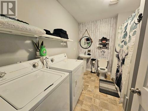 172 Nicholsville Road, Deer Lake, NL - Indoor Photo Showing Laundry Room