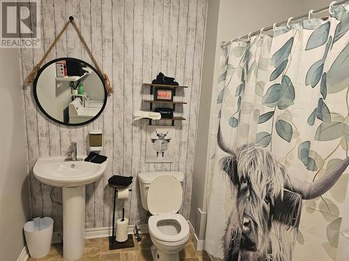 172 Nicholsville Road, Deer Lake, NL - Indoor Photo Showing Bathroom