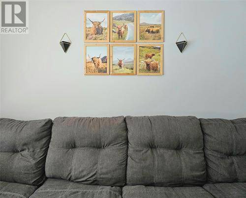 172 Nicholsville Road, Deer Lake, NL - Indoor Photo Showing Living Room