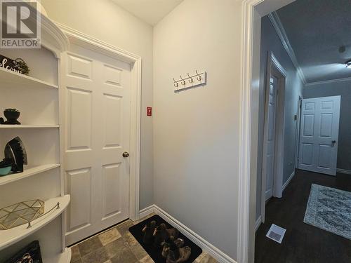 172 Nicholsville Road, Deer Lake, NL - Indoor Photo Showing Other Room