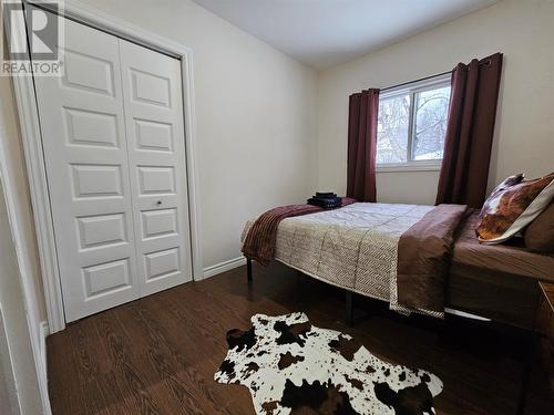 172 Nicholsville Road, Deer Lake, NL - Indoor Photo Showing Bedroom