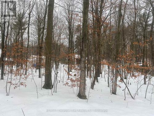 Lot 558 Forest Circle, Tiny, ON 