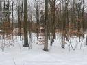 Lot 558 Forest Circle, Tiny, ON 