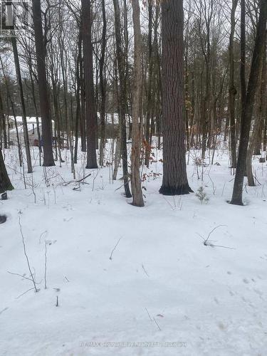 Lot 558 Forest Circle, Tiny, ON 