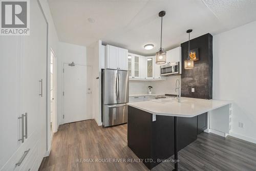 103 - 801 King Street W, Toronto, ON - Indoor Photo Showing Kitchen With Stainless Steel Kitchen With Upgraded Kitchen