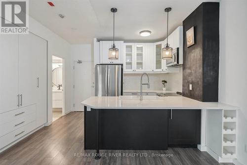 103 - 801 King Street W, Toronto, ON - Indoor Photo Showing Kitchen With Upgraded Kitchen