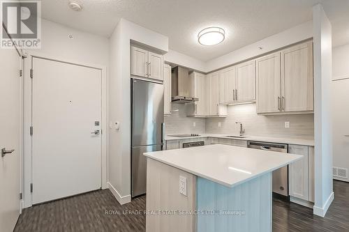 602 - 2081 Fairview Street, Burlington, ON - Indoor Photo Showing Kitchen