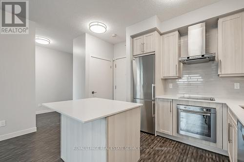 602 - 2081 Fairview Street, Burlington, ON - Indoor Photo Showing Kitchen With Upgraded Kitchen