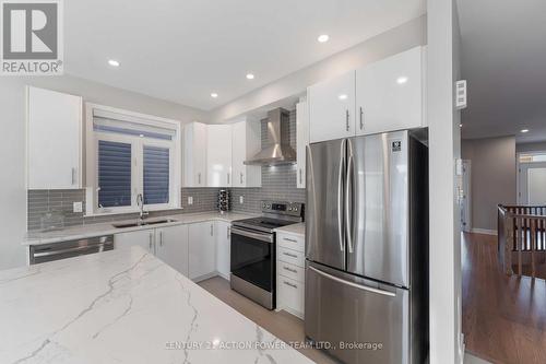 203 Joshua Street, Ottawa, ON - Indoor Photo Showing Kitchen With Double Sink With Upgraded Kitchen