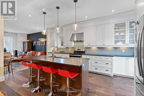 168 Stewart Street, Ottawa, ON - Indoor Photo Showing Kitchen With Upgraded Kitchen