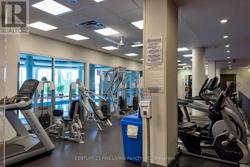 207 - 3 Rean Drive, Toronto, ON - Indoor Photo Showing Gym Room