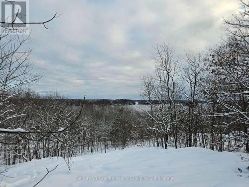 1694 Rackety Trail Road, Minden Hills, ON 