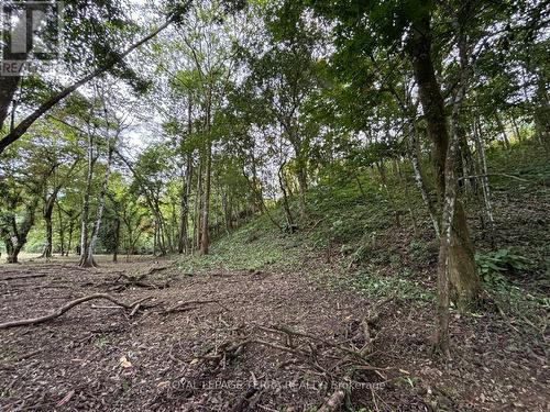 Lot 4 Avenida Principle, Costa Rica, ON 