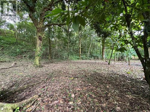 Lot 4 Avenida Principle, Costa Rica, ON 