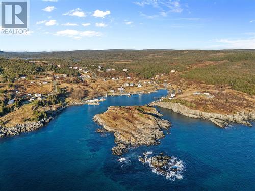 73 Brigus South Road, Cape Broyle, NL - Outdoor With Body Of Water With View