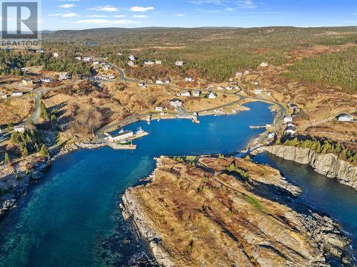 73 Brigus South Road, Cape Broyle, NL - Outdoor With Body Of Water With View