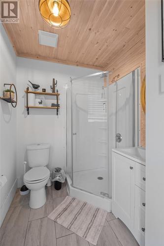 73 Brigus South Road, Cape Broyle, NL - Indoor Photo Showing Bathroom