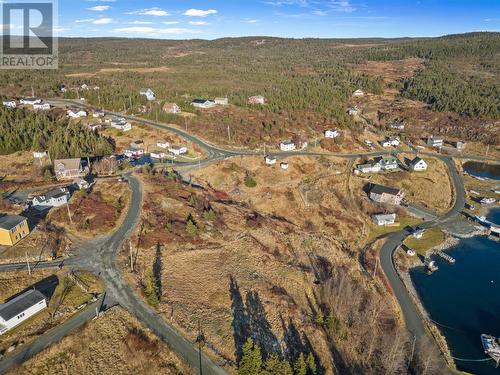 73 Brigus South Road, Cape Broyle, NL - Outdoor With View