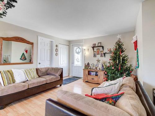 Living room - 869  - 871 Rue Cartier, Longueuil (Le Vieux-Longueuil), QC - Indoor Photo Showing Living Room