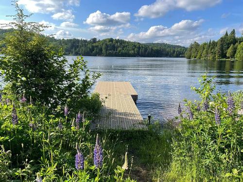 2030 Imp. Des Pignons-Rouges, Sainte-Agathe-Des-Monts, QC - Outdoor With Body Of Water With View