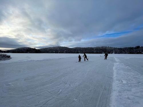 Other - 2030 Imp. Des Pignons-Rouges, Sainte-Agathe-Des-Monts, QC - Outdoor With Body Of Water With View