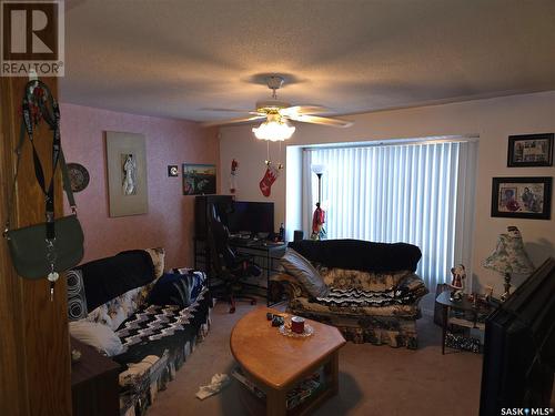 845 Pasqua Street, Regina, SK - Indoor Photo Showing Living Room