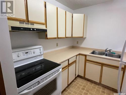 201 102 Manor Drive, Nipawin, SK - Indoor Photo Showing Kitchen With Double Sink