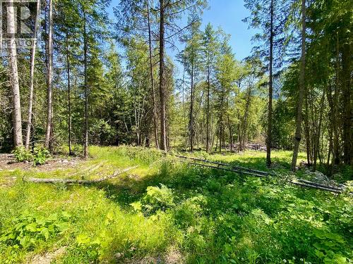 2921 Upper Slocan Park Road, Slocan Park, BC 