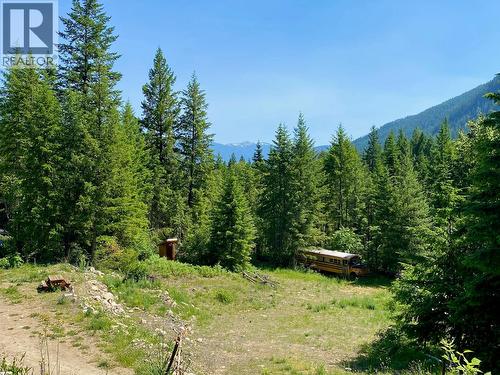 2921 Upper Slocan Park Road, Slocan Park, BC 