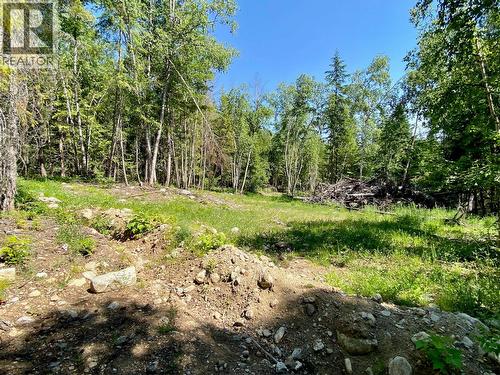 2921 Upper Slocan Park Road, Slocan Park, BC 