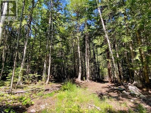 2921 Upper Slocan Park Road, Slocan Park, BC 