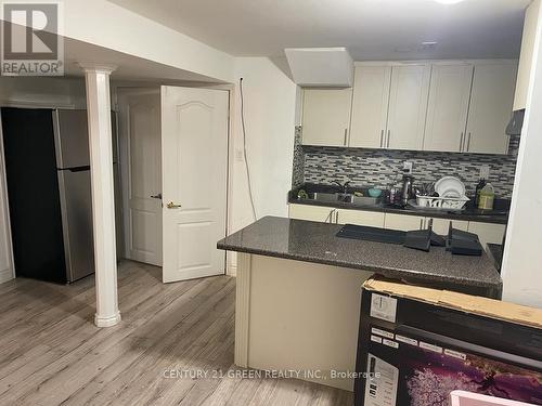 Bsmt - 1155 Ivandale Drive, Mississauga, ON - Indoor Photo Showing Kitchen With Double Sink