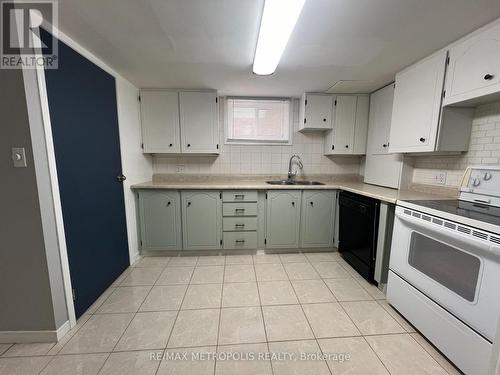 Bsmt - 1101 King Street, Whitby, ON - Indoor Photo Showing Kitchen With Double Sink