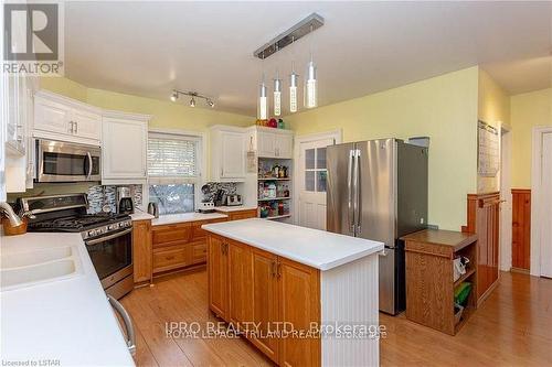 35 William Street, St. Thomas, ON - Indoor Photo Showing Kitchen With Double Sink