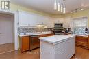 35 William Street, St. Thomas, ON  - Indoor Photo Showing Kitchen 