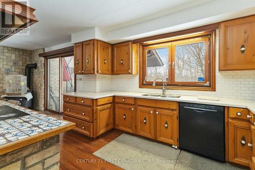 239 Woodworth Crescent, St. Thomas, ON - Indoor Photo Showing Kitchen With Double Sink