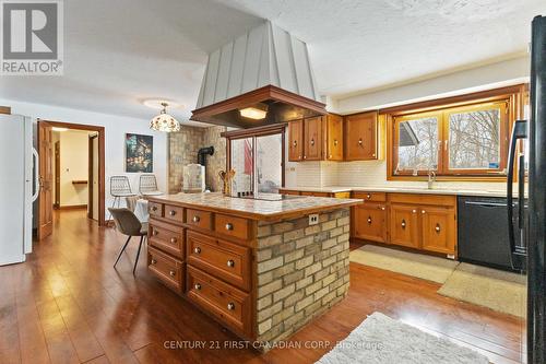 239 Woodworth Crescent, St. Thomas, ON - Indoor Photo Showing Kitchen