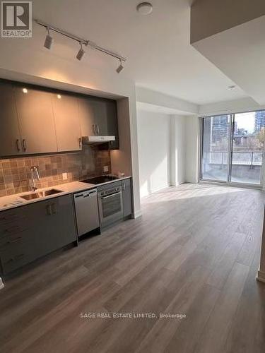 316 - 9 Tecumseth Street, Toronto, ON - Indoor Photo Showing Kitchen