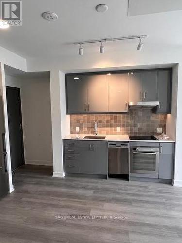 316 - 9 Tecumseth Street, Toronto, ON - Indoor Photo Showing Kitchen With Upgraded Kitchen