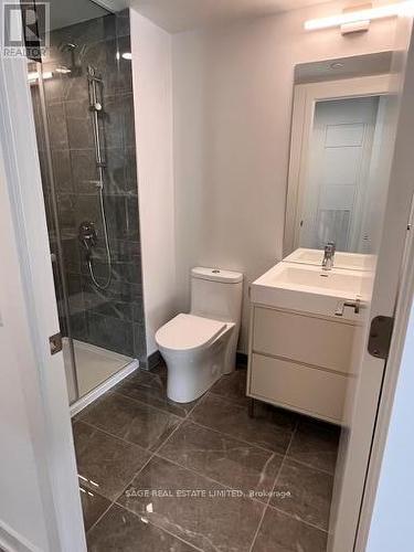 316 - 9 Tecumseth Street, Toronto, ON - Indoor Photo Showing Bathroom