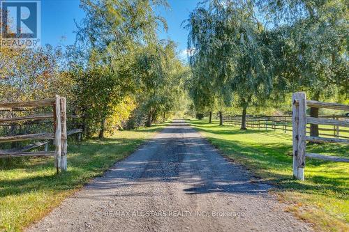 24185 Kennedy Road, Georgina, ON - Outdoor With View