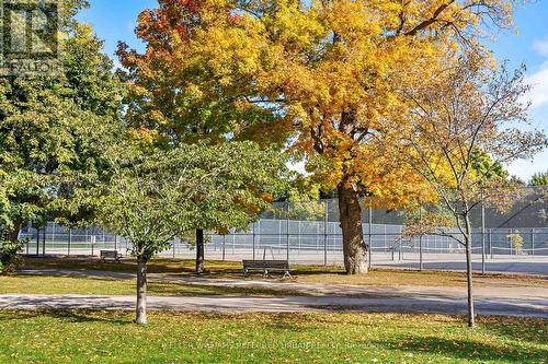 123 Gore Vale Avenue, Toronto, ON - Outdoor With View