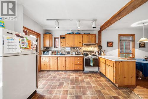 123 Gore Vale Avenue, Toronto, ON - Indoor Photo Showing Kitchen