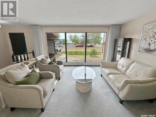 120 Hayes Drive, Swift Current, SK - Indoor Photo Showing Living Room