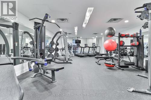 405 - 15 Bruyeres Mews, Toronto, ON - Indoor Photo Showing Gym Room