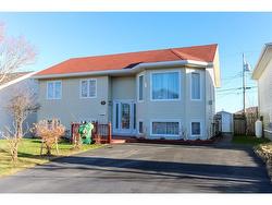 32 Malka Drive  St. John's, NL A1A 4X8