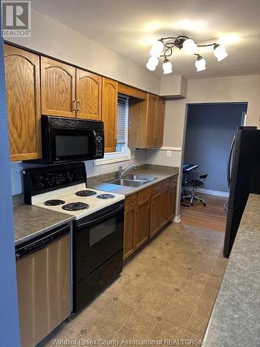 1167 Isabelle Place, Windsor, ON - Indoor Photo Showing Kitchen With Double Sink