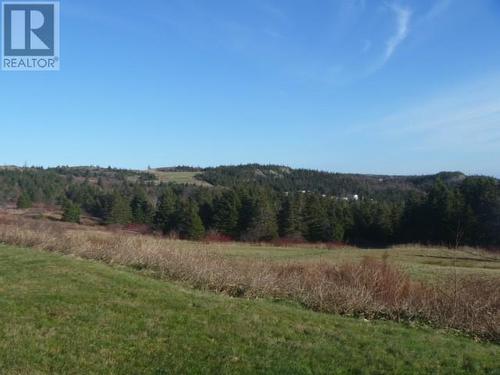 9 English Hill Extension, Carbonear, NL - Outdoor With View